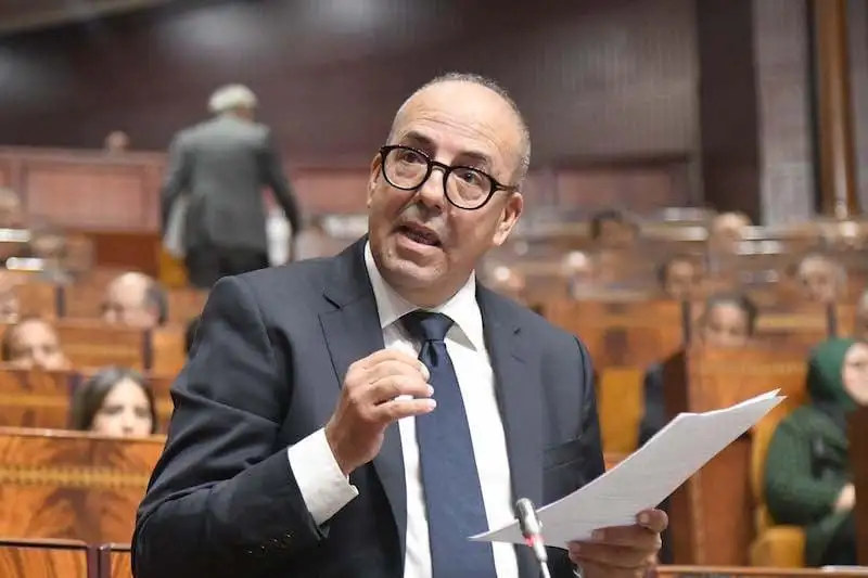 وزير الفلاحة: الإنتاج الحيواني يوفر 135 مليون يوم عمل سنوياً