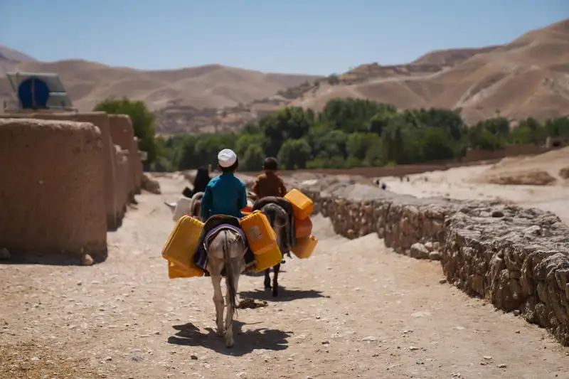 الفاو : الحرارة الشديدة بين 2022 و2024 تدفع أنظمة الأغذية الفلاحية في المغرب إلى أدنى مستوياتها