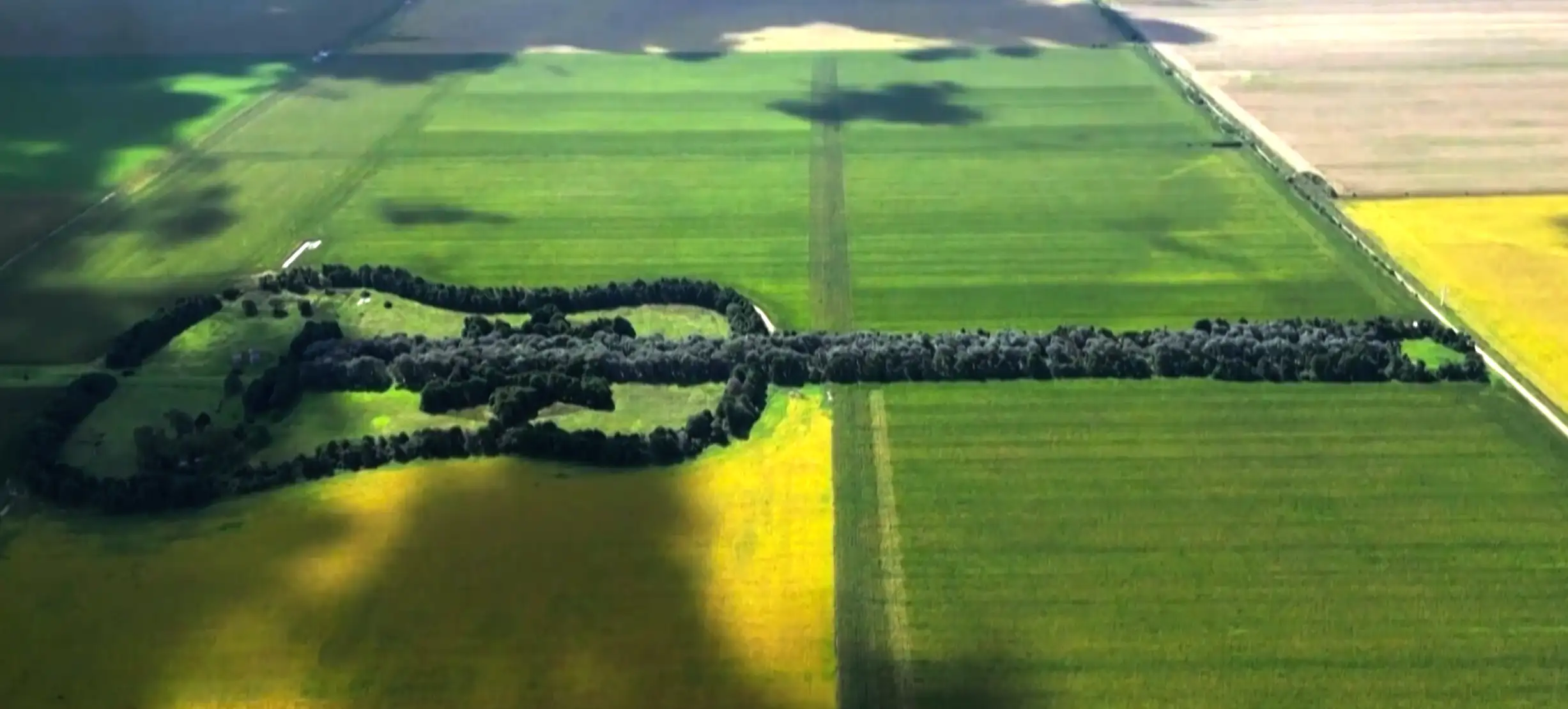 غابة على شكل غيتار… قصة حب أرجنتينية تتحدى الزمن من السماء